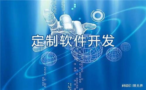 上海五家代表性軟件開發(fā)企業(yè)深度解析 技術(shù)實力與發(fā)展路徑